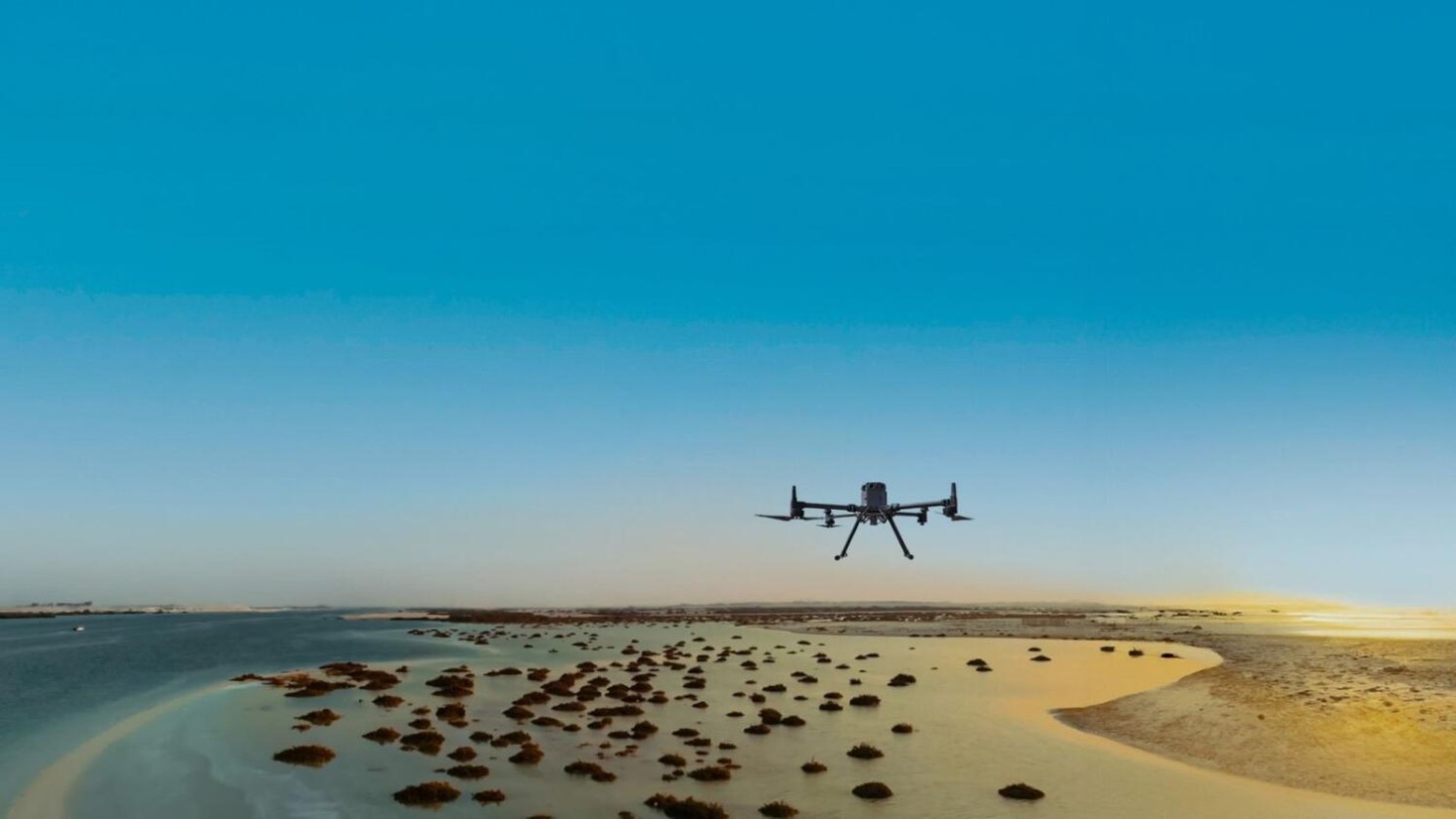 Drones for Mangroove restoration