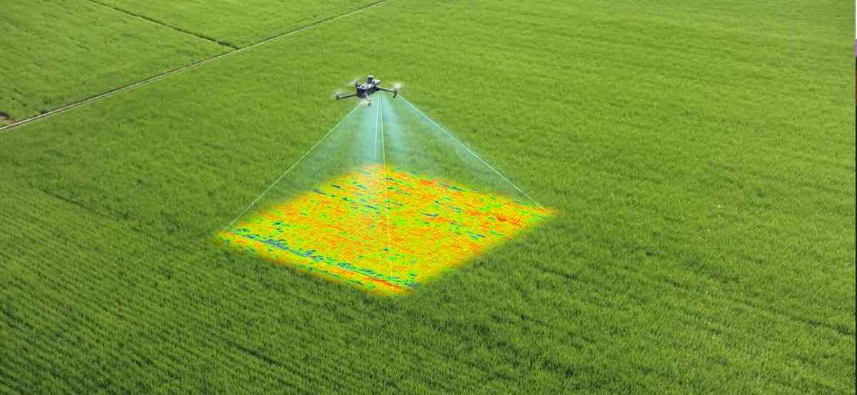 A drone being used for crop health monitoring in an agricultural field