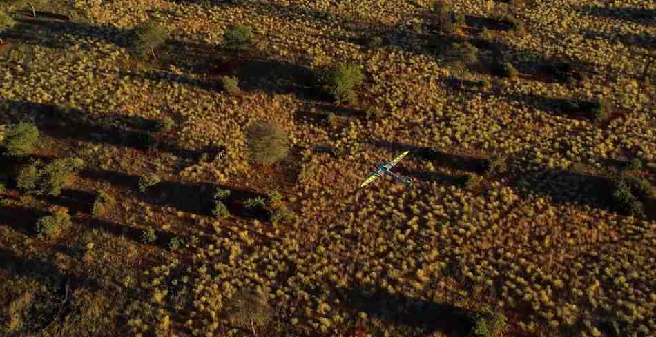 A Trinity pro drone flying over forest land for aerial survey
