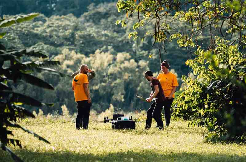 Researchers setting up drpmes for eDNA capture with drones from forest canopies